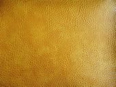 synthetic leather image